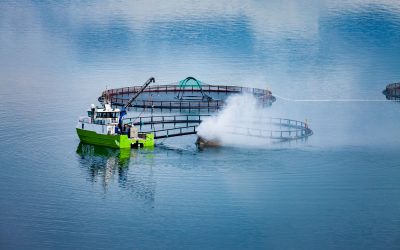 Aquaculture: New diets, new testing. Photo: Shutterstock