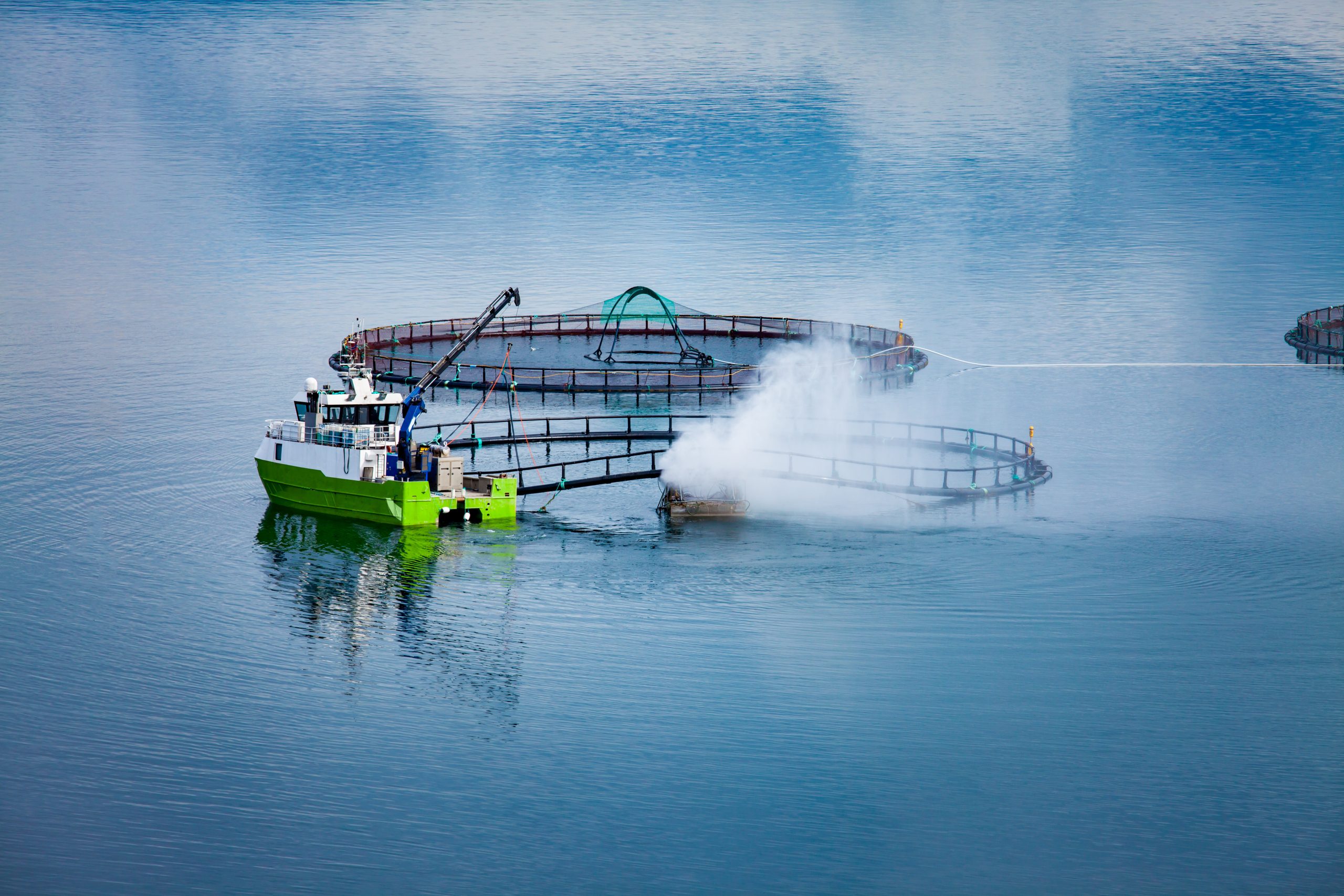 Aquaculture: New diets, new testing. Photo: Shutterstock