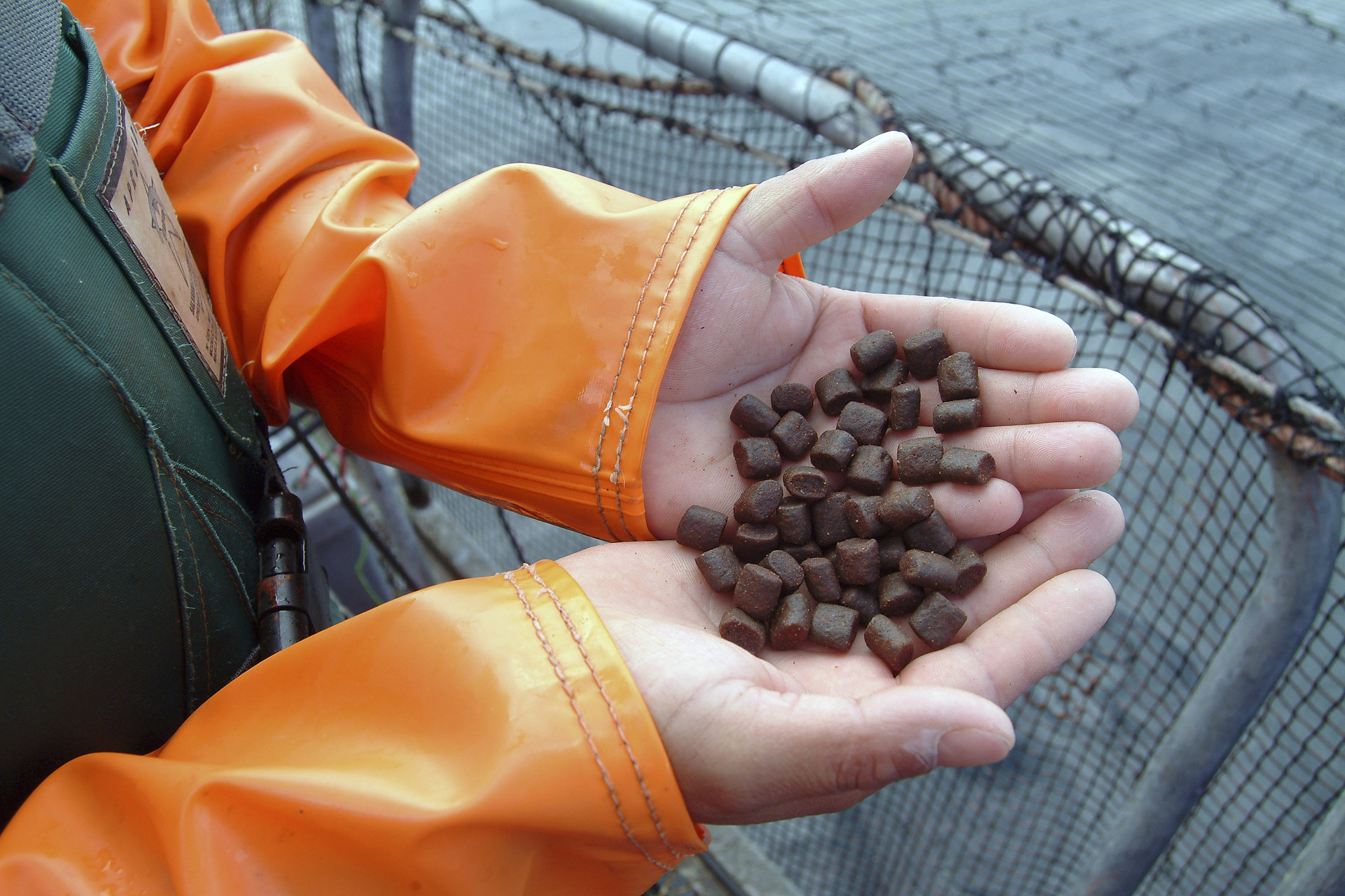 Fish feed: Start all over again? Photo: Dreamstime