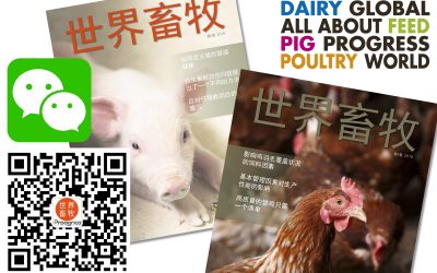 All About Feed celebrates its WeChat launch in China