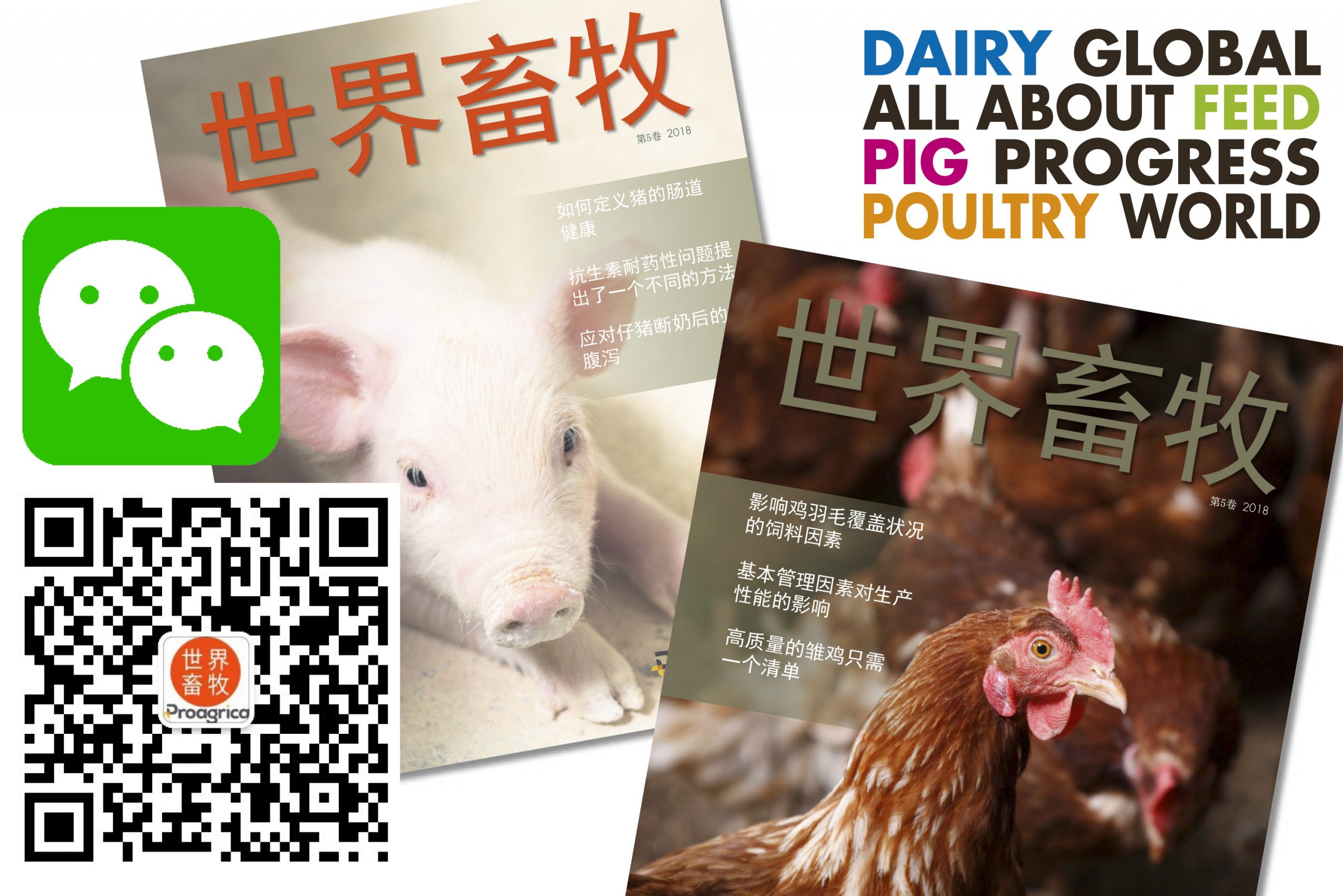 All About Feed celebrates its WeChat launch in China