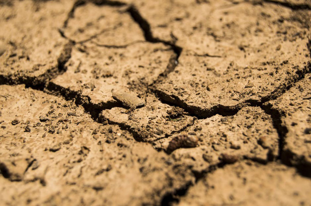 Aussie farmers struggle with high feed prices. Photo: Pexels