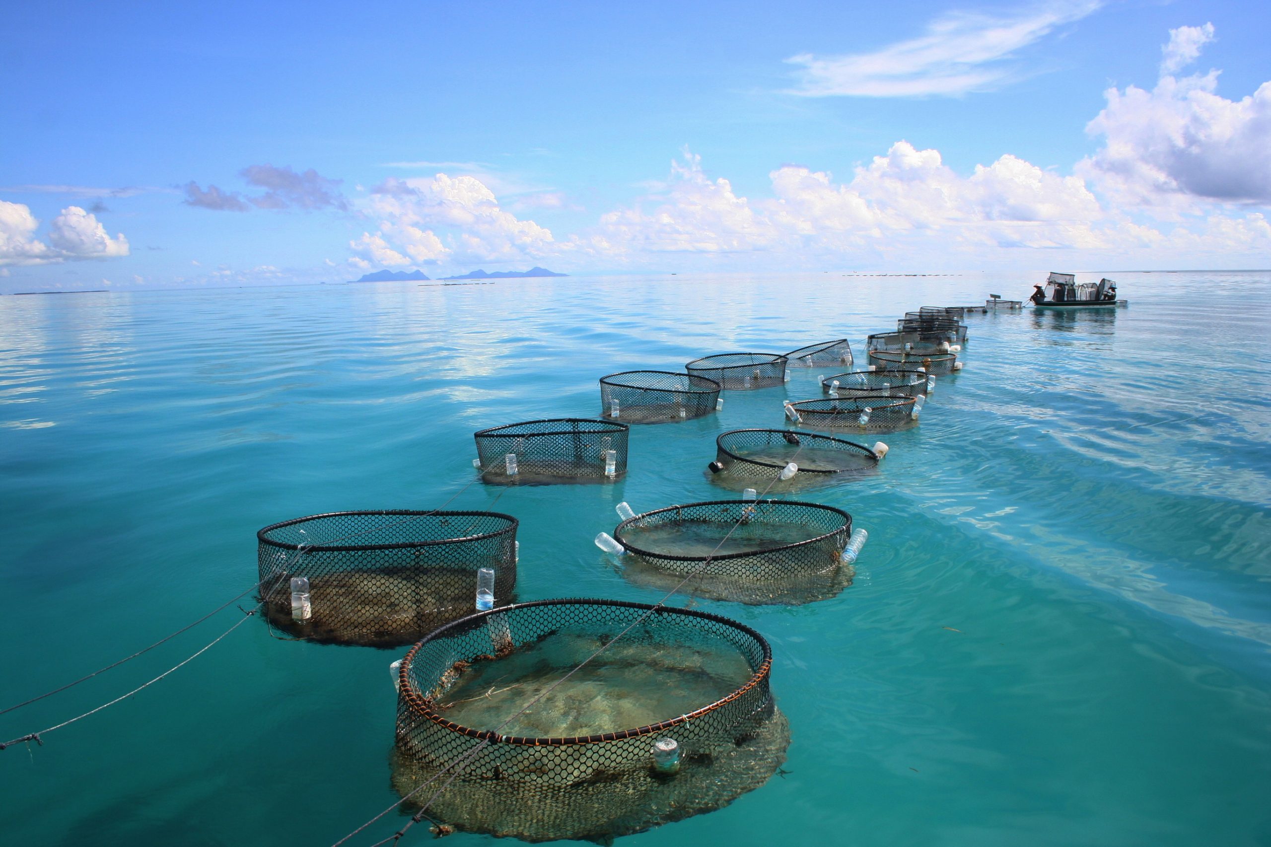 Turning food byproducts into valuable fish feed. Photo: Shutterstock