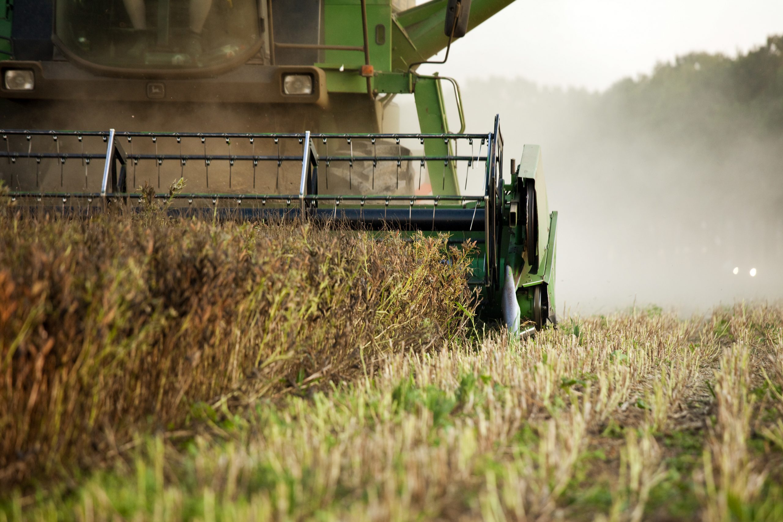 Rise in US feed grain supplies. Photo: Bart Nijs