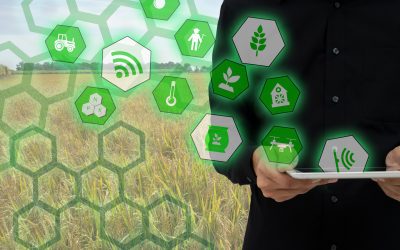 New Code of Conduct on agricultural data. Photo: Shutterstock
