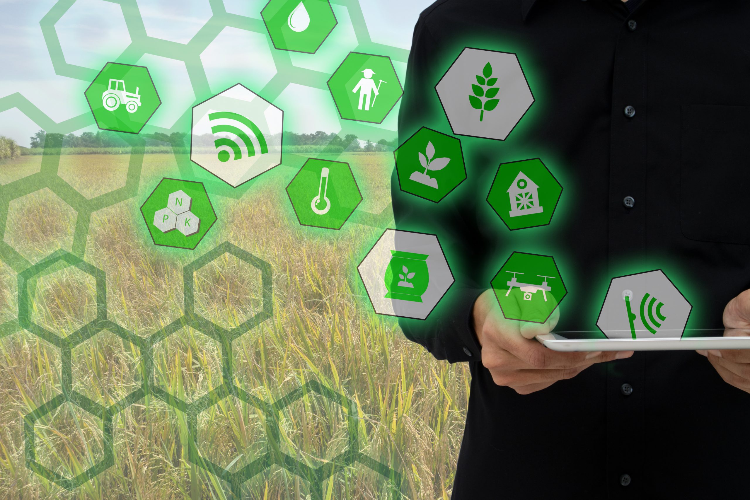 New Code of Conduct on agricultural data. Photo: Shutterstock