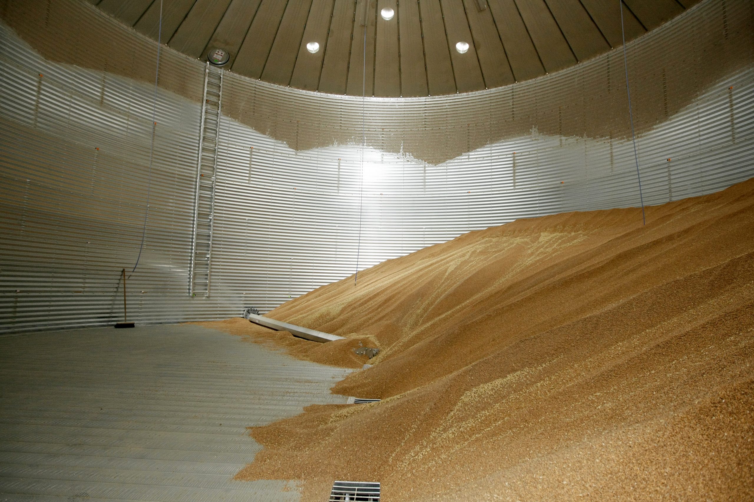 EU storage capacity grains mapped. Photo: Ronald Hissink