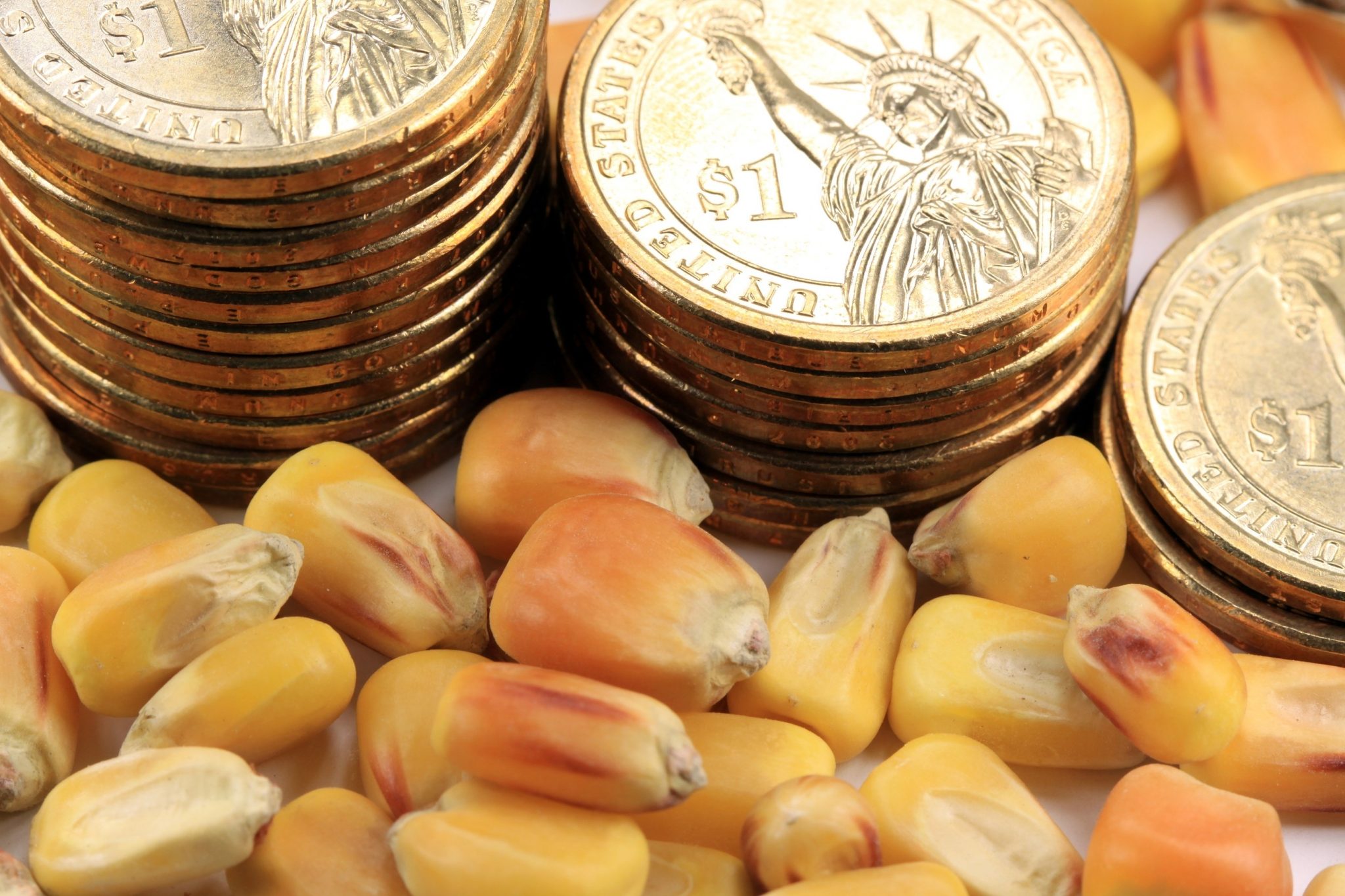 Валютные продукты. Corn Coin Gold. Фото Монетка Золотая американское. Commodity money Shells. Commodities photo.
