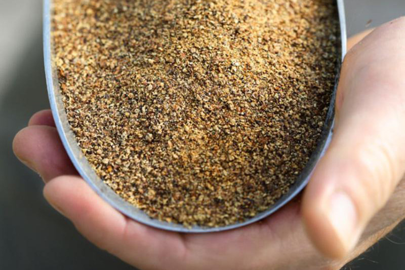 Canola meal in swine nutrition. Photo: www.animalsciencepublications.org