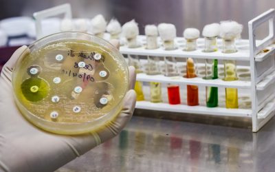 Having bacteria resistant to one class of antibiotics is bad, but the global spread of bacteria resistant to multiple antibiotics, the superbugs, is worse. Photo: Shutterstock