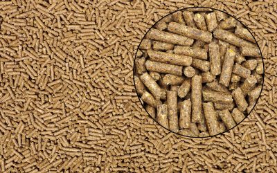 What to consider in feed processing. Photo: Shutterstock