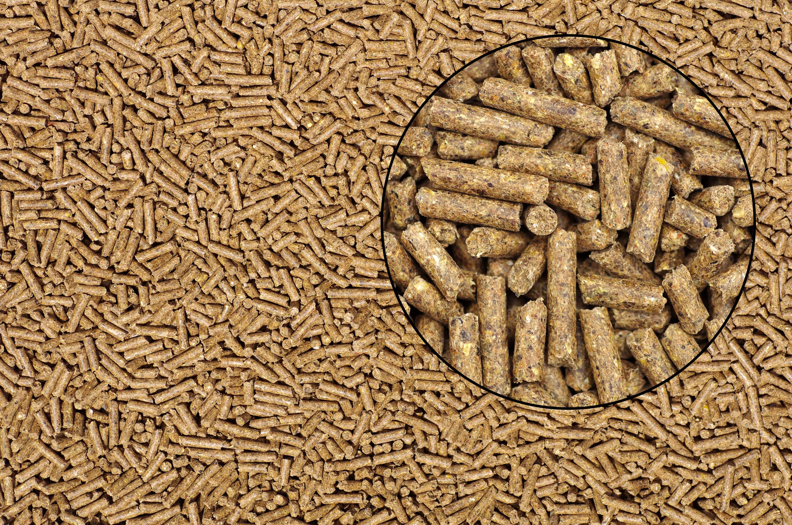 What to consider in feed processing. Photo: Shutterstock