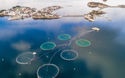 6 game changers in the aquaculture industry. Photo: Shutterstock