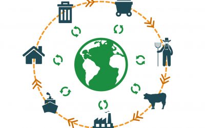 Life cycle assessment of feed ingredients. Photo: Blonk Consultants