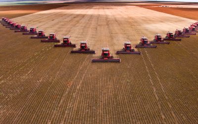 Successful crop model in Brazil to feed the world