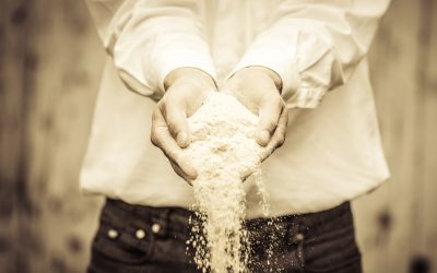 The dust generated by feed production, storage and transportation is accumulated in large quantities. Photo: Shutterstock