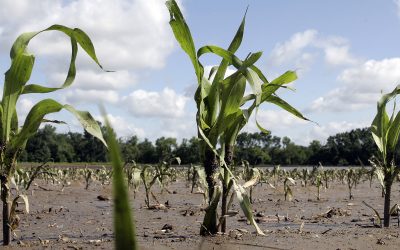 Climate change. Photo: Frank Polich