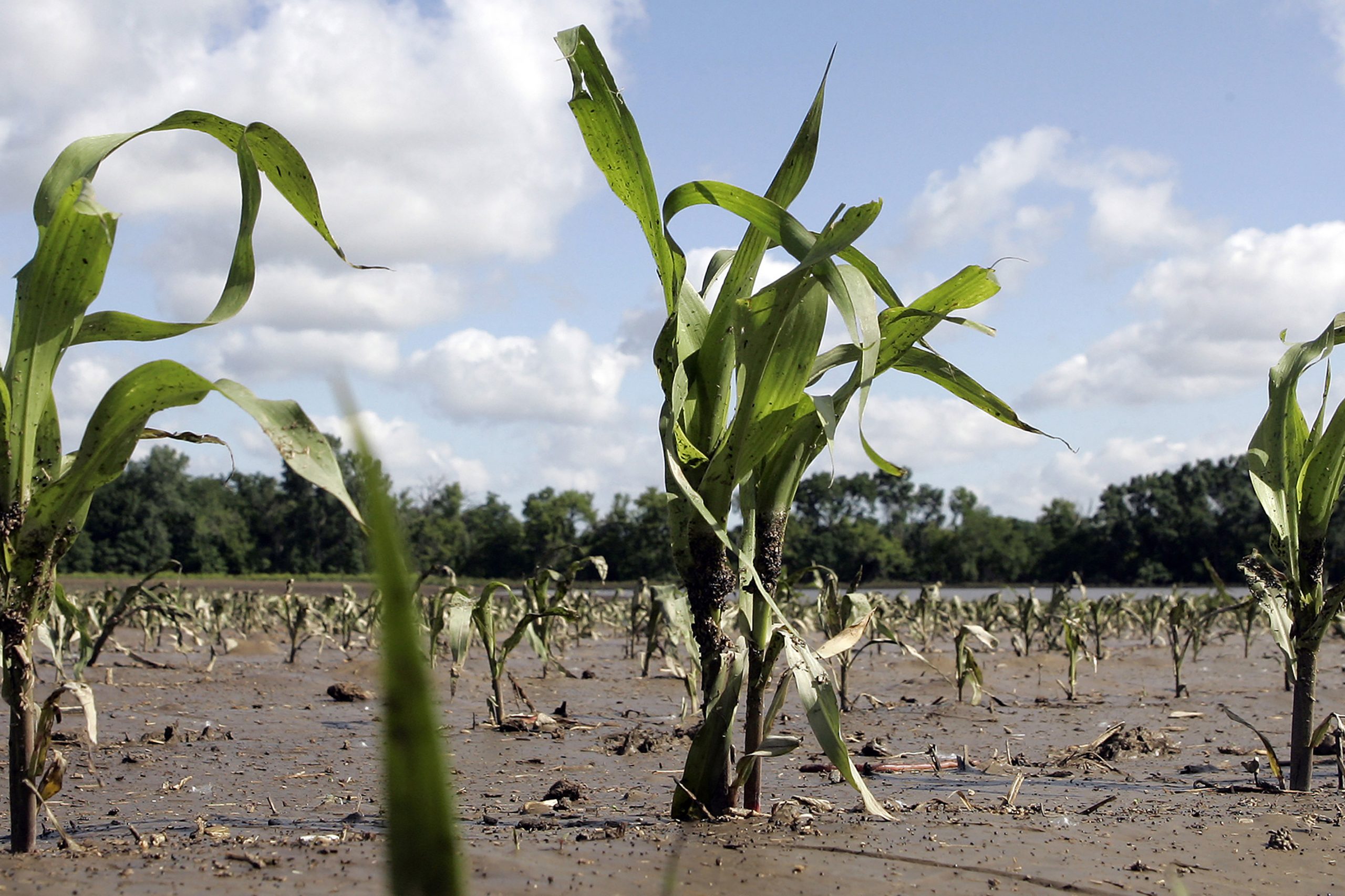 Climate change. Photo: Frank Polich