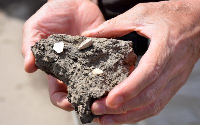 European farmers suffer extreme drought