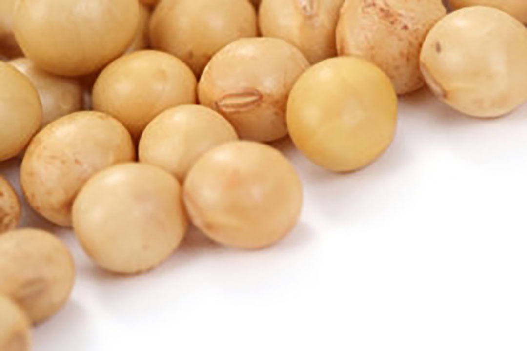 Dramatic fall of soybean prices after tweet. Photo: Dreamstime