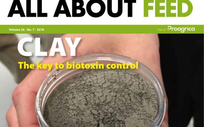 Issue 7 of All About Feed now available online