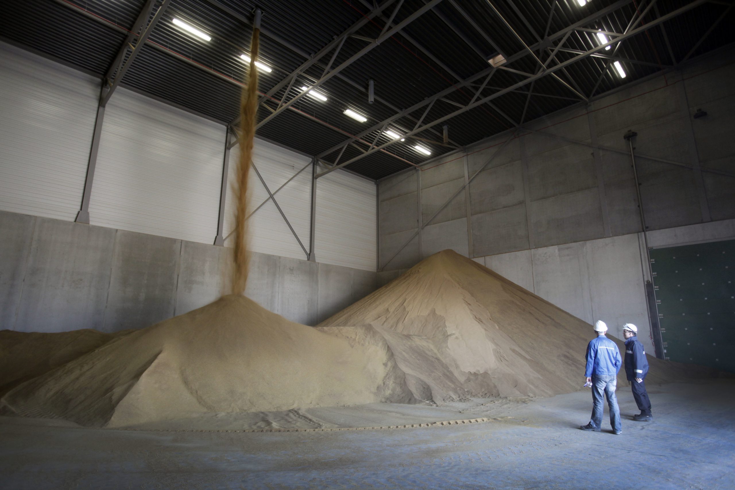 USGC assesses ethanol market in UAE. Photo: Roel Dijkstra