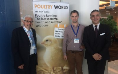 Full house at Poultry World event at VIV MEA. Photo: Emmy Koeleman