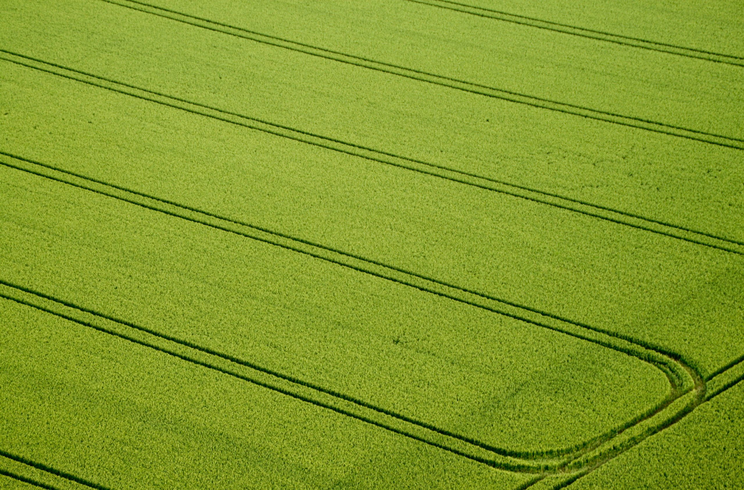 New insights in climate change and its effect on crop yields. Photo: Dreamstime