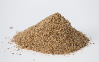 Insect protein for sub-Saharan Africa needs a push. Photo: Ynsect