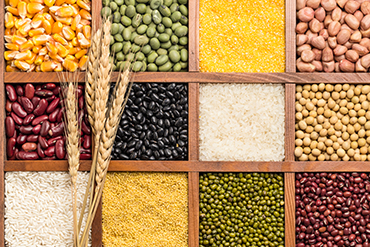 Protein crops