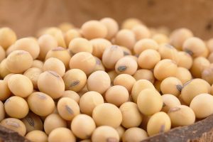 soybean futures prices