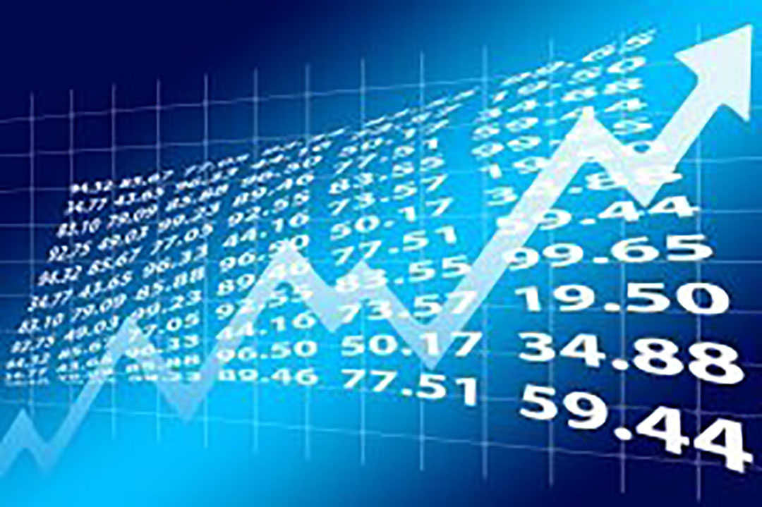 Vitamin B9 and B6 maintain price decline