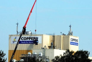 Coppens International becomes visible