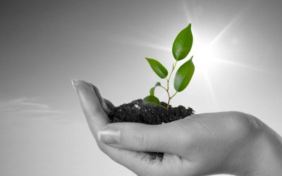 Nutreco launches new sustainability programme. Photo: Dreamstime