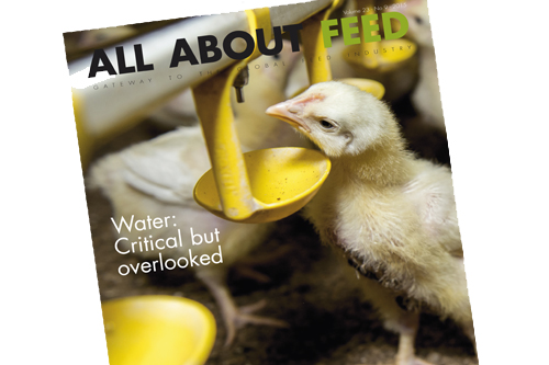 New issue of All About Feed now online