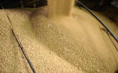 USSEC conducts soybean meal seminars and more