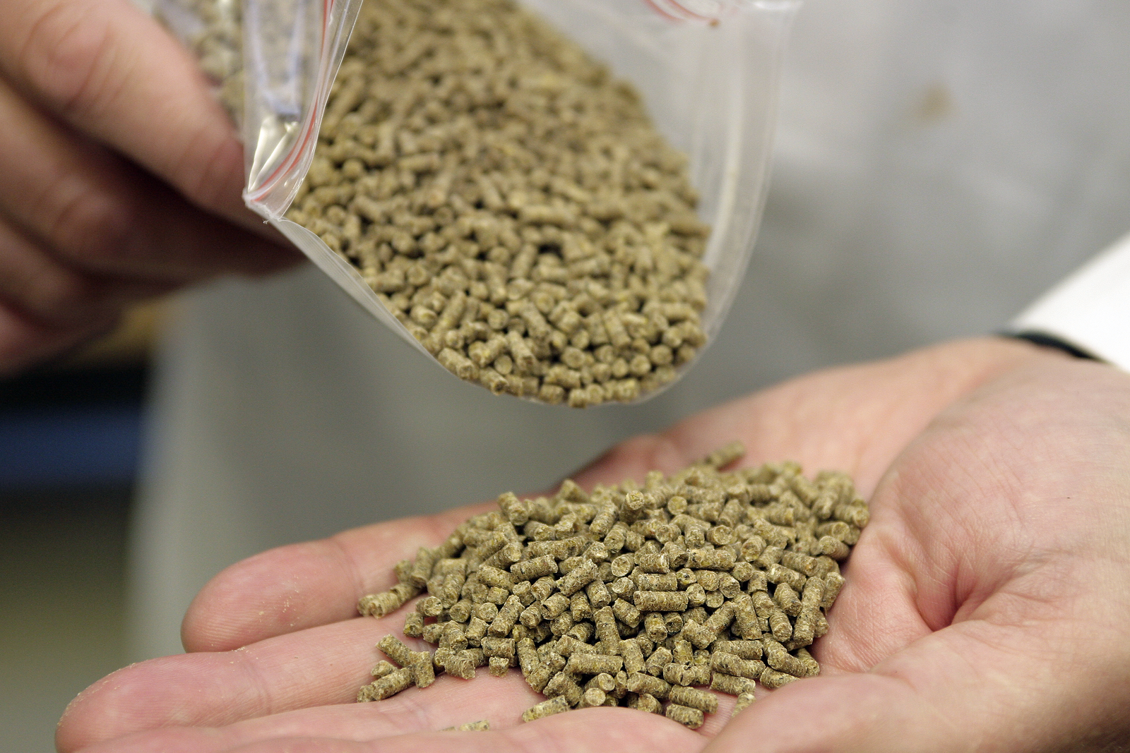 Heavy metals found in Asia-Pacific feed materials [Photo: Studio Kastermans]