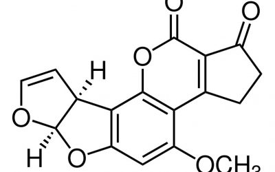 Aflatoxin B1: Changes in risk profile Russia. Photo: Dreamstime