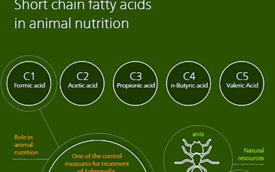 Infographic: Learn about organic acids. Photo: Perstorp