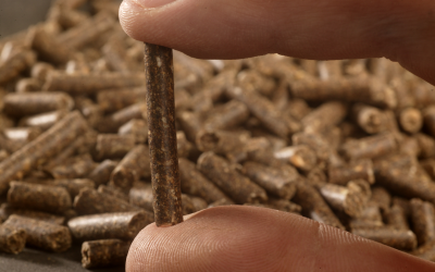 More energy in pig diets after pelleting and extrusion. Photo Hans Prinsen