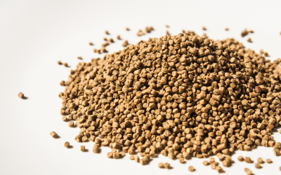 Future feed formulations for fish and shrimp are made with less fish meal and more alternative protein sources.