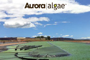 Aurora Algae catches government grant