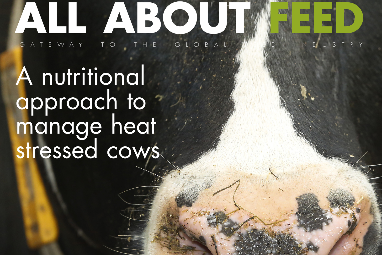 May edition All About Feed now online