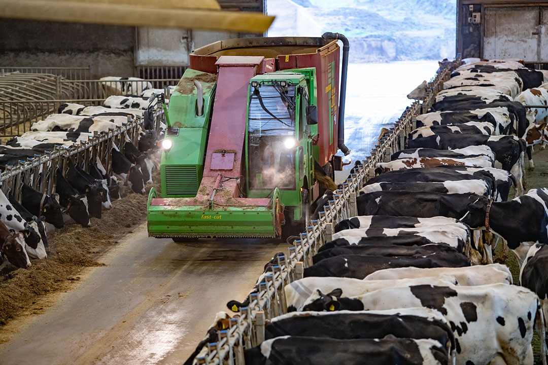 Internationally we see a trend in using less GMO ingredients and the effect of dairy farming on the environment (greenhouse gas emissions). Photo: Michel Velderman