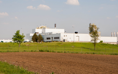 Fish and animal feed made from wastewater