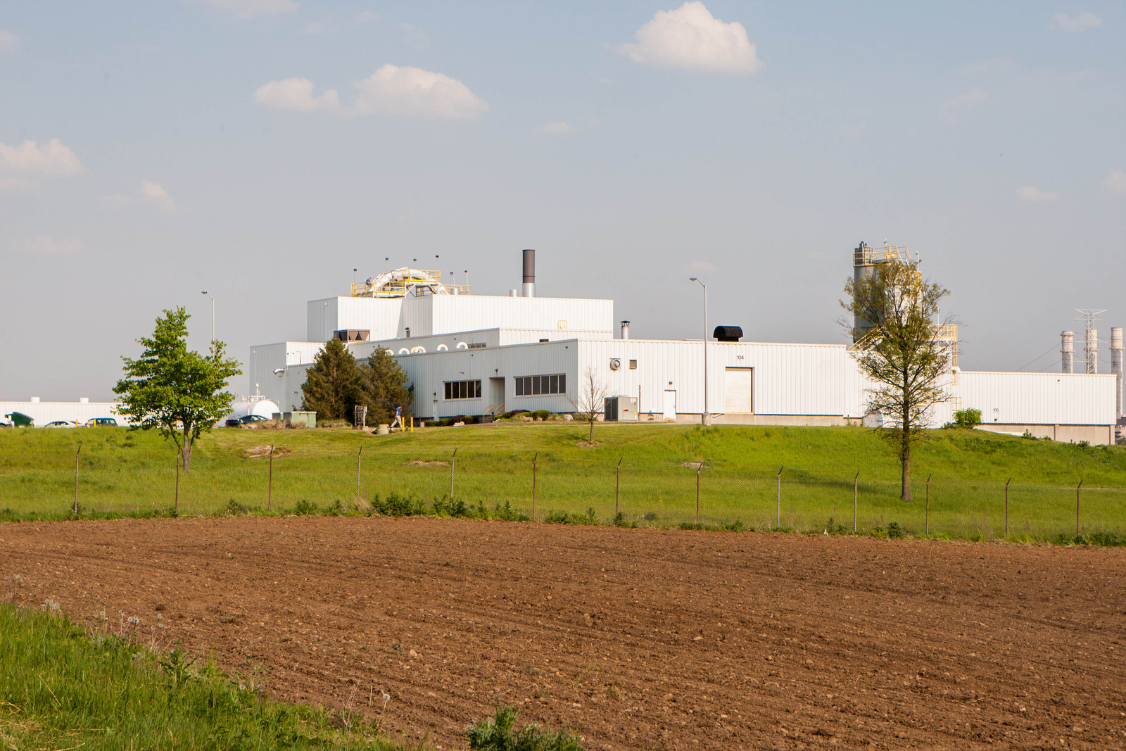 Fish and animal feed made from wastewater