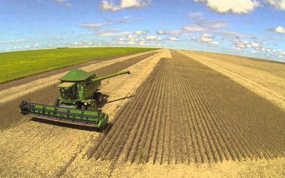 Year-on-year, Brazil s total grain production has increased 13.7 million tonnes. Photo: Mar e Varzea MT