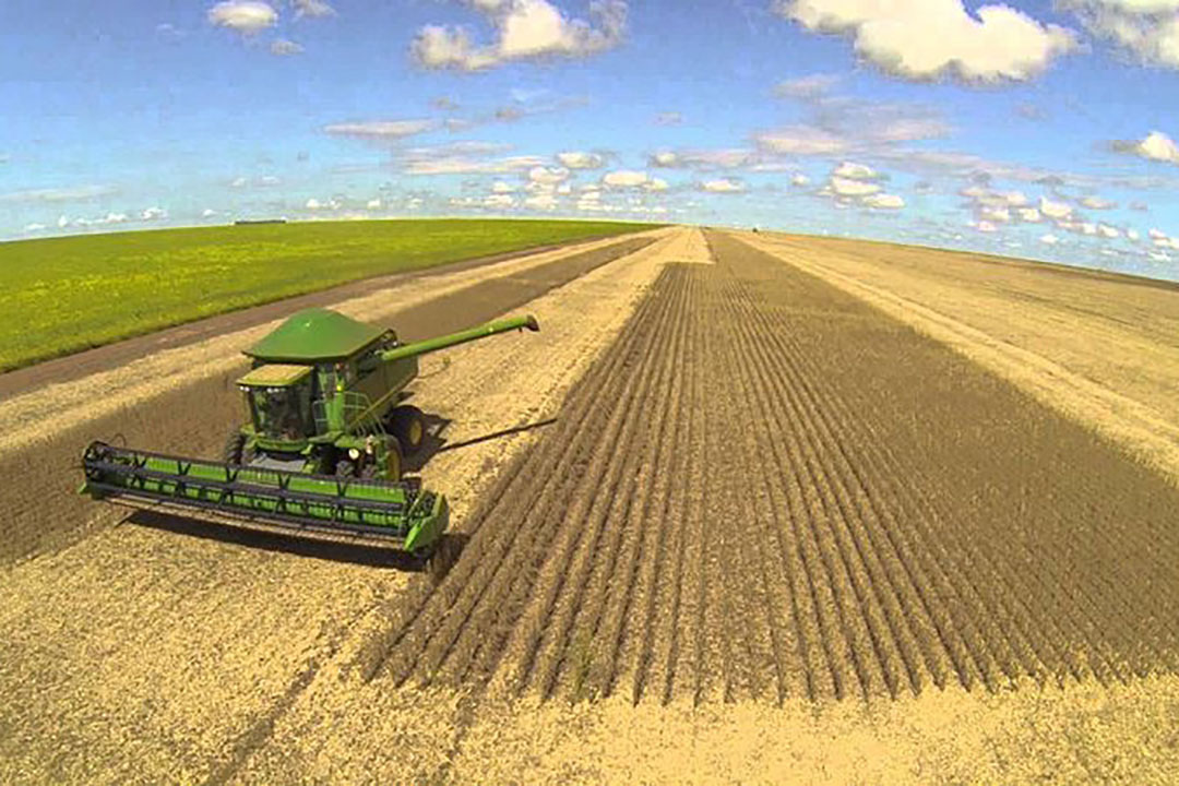 Year-on-year, Brazil s total grain production has increased 13.7 million tonnes. Photo: Mar e Varzea MT