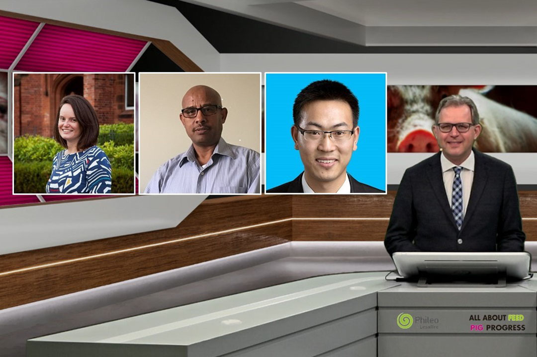 The line-up of the webinar with speakers Dr Megan Edwards, Dr Tadele Kiros and Shen Fei Long. - Photo: Company Webcast