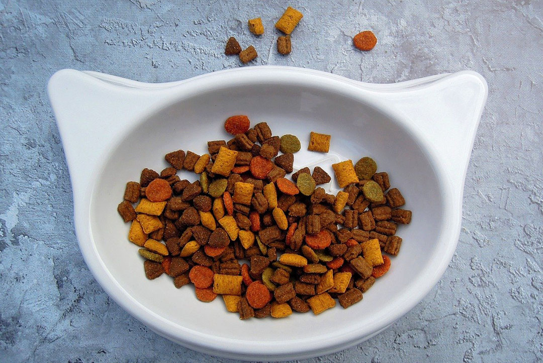 Exports of pet food from New Zealand doubled between 2015 and 2019, reaching US$129 million. Photo: Crepessuzette